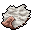 white deer skin