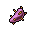 prickly pear