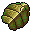 beetle carapace