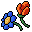 wild flowers