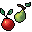 fresh fruit