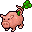 lucky pig