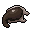 pale worm's scalp