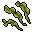 hydrophytes