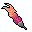 carnivostrich feather
