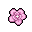 wafer paper flower